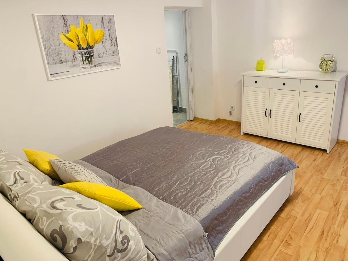 Apartament Rodzinny Z Ogrodem Цешин Экстерьер фото